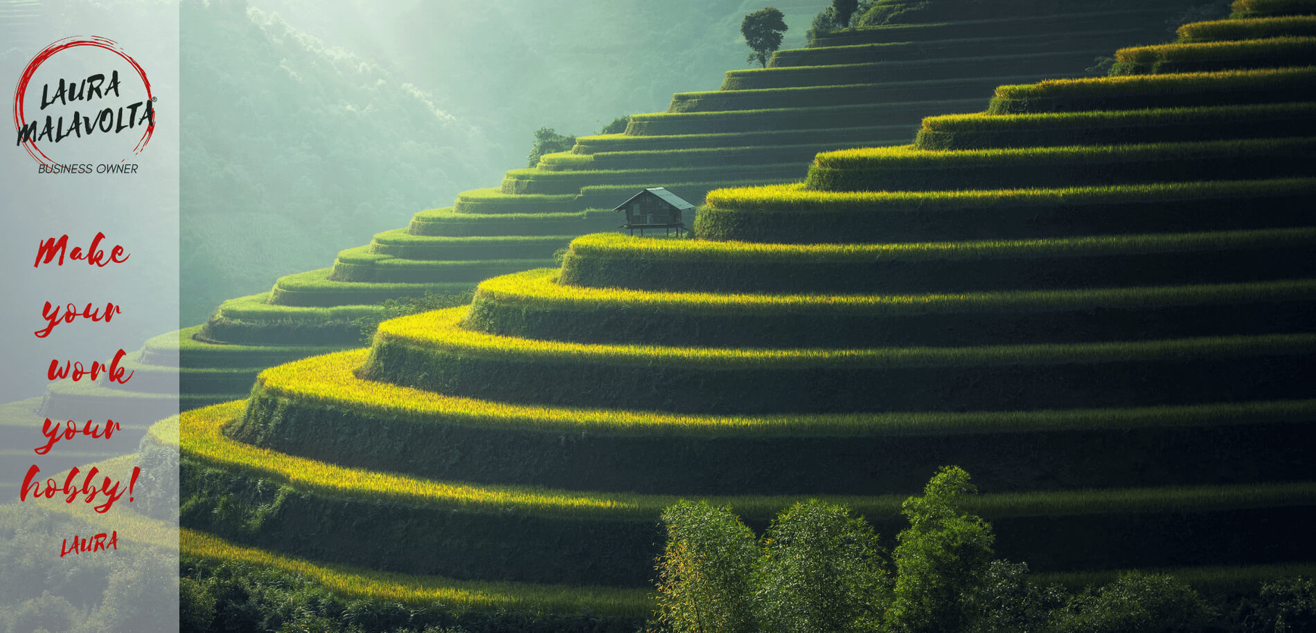 Business – Work With Me Business - Work With Me