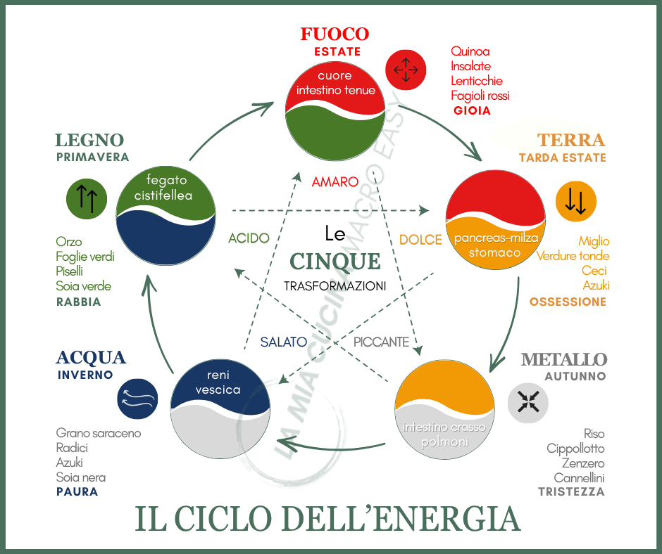 5 Trasformazioni 5 Stagioni, il ciclo dell'Energia 4 🟡1.1.24 GRAFICHE SITO 3