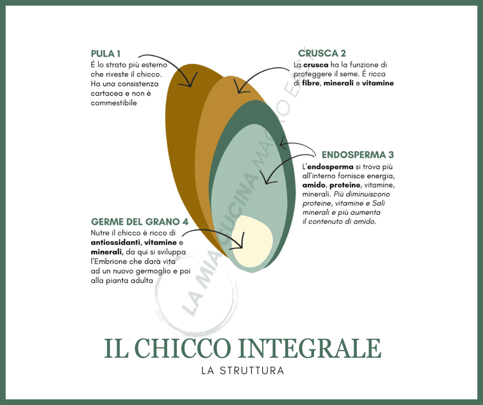 UCINA Sito.Fb .Instagram